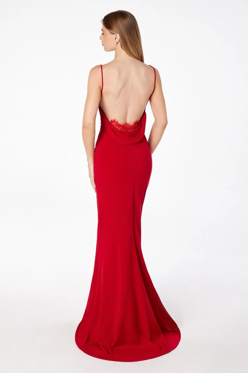 Bette Lace Back Draped Maxi Dress - Image 11