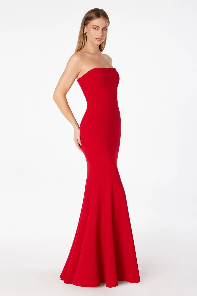 Poppy Maxi Dress - Strapless Fitted Dress - Image 6
